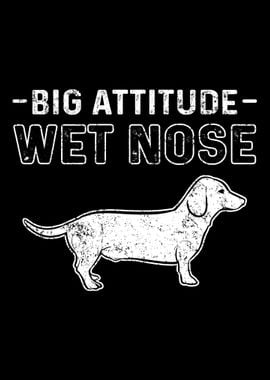 Big Attitute Wet Nose Dach