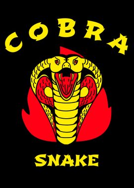 Colorful Cobra Snake