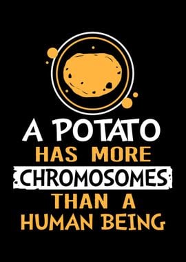 Down Syndrome Potato