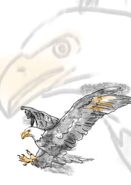 Eagle