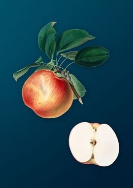 Vintage Apple Fruit Poster