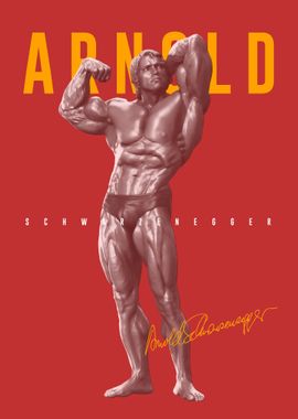 Arnold Schwarzenegger Gym