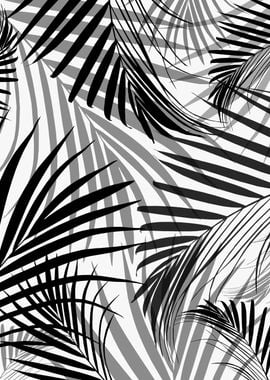 Black Palm Leaves Dream  3