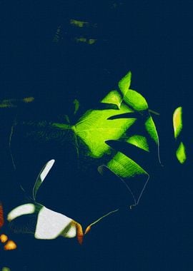 Monstera Leaves Shadow