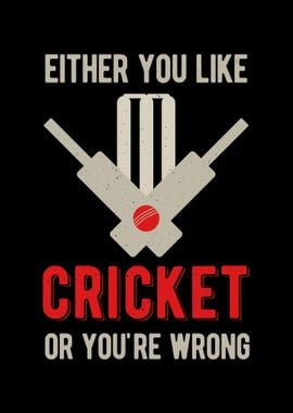 Funny Cricket Quote