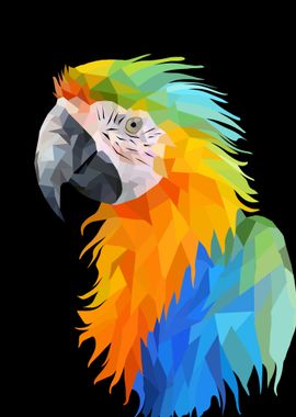 Parrot Ara