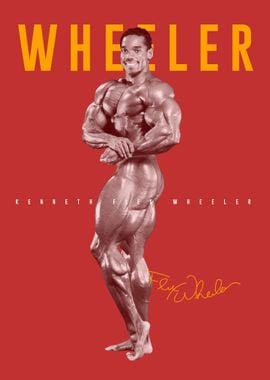 Flex Wheeler Fitness Gym