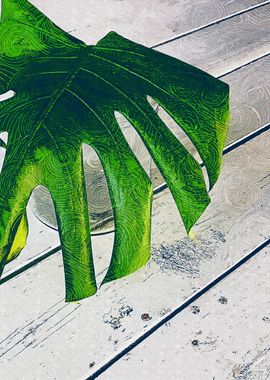 Monstera Leaf Timber 