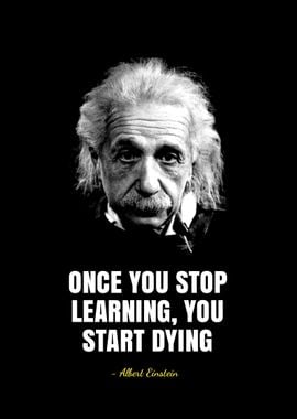 albert einstein quotes