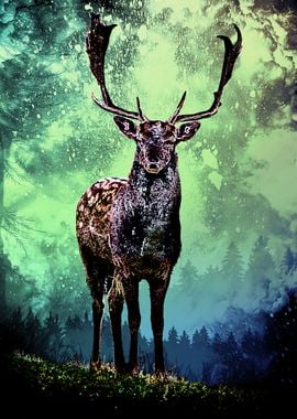 Soul of the Deer