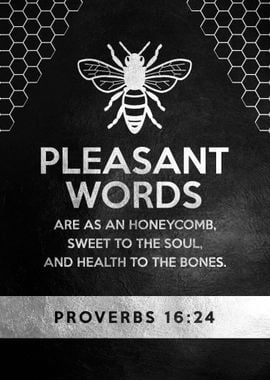 Proverbs 16 24