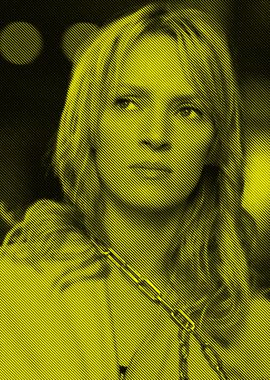 Beatrix kiddo