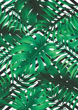 Monstera pattern