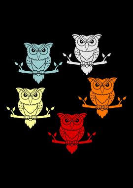 Owl Bird Cute Gift Idea