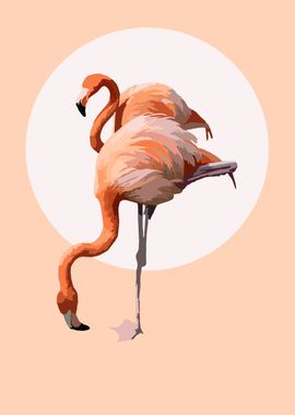 Flamingo