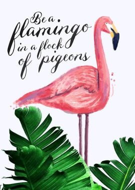 Flamingo