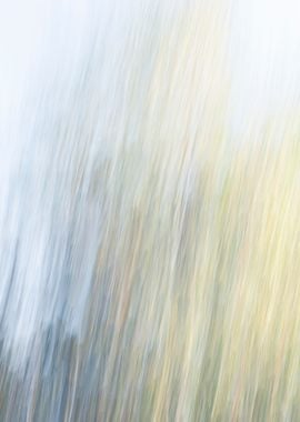 Panning Trees