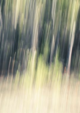 Panning Trees