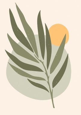 Olive Leaves