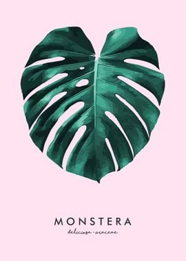 monstera