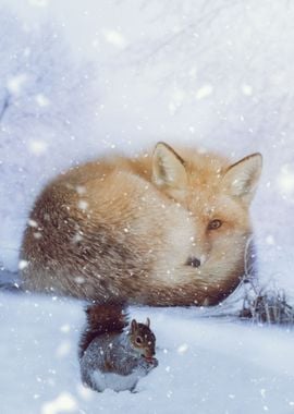 Fox and Squirrel in winter