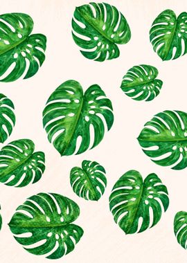 Monstera Lover