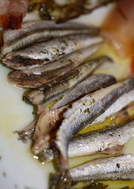 Sardines greek cuisine raw