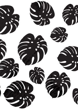 Monstera Black White