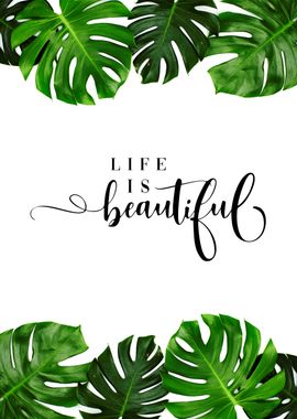 life is beautiful