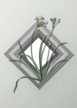 Geometric Flowers on Gray