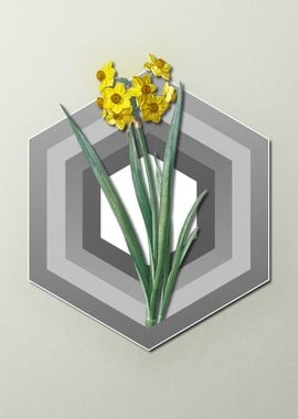 Daffodil on Paper Shield