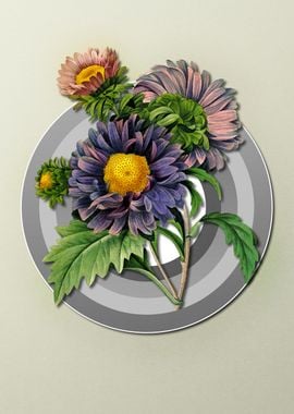 Pastel Floral China Aster