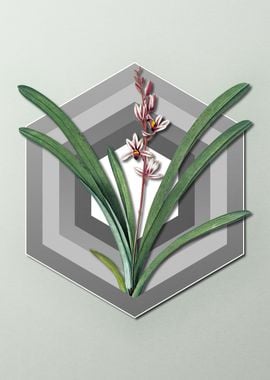 Geometric Boat Orchid Gray