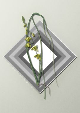 Geometric Flowers on Gray