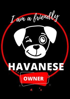 Friendly Havanese Owner