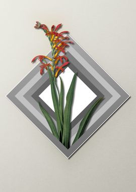 Geometric Pastel Flower