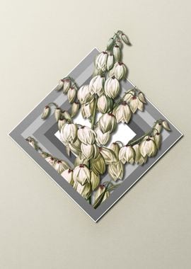 Geometric Aloe Yucca Gray