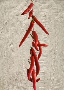 chili pepper for food 