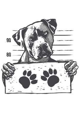 STAFFY MUGSHOT