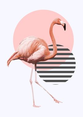 flamingo