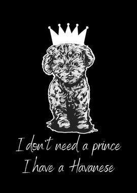 HAVANESE PRINCE QUOTE