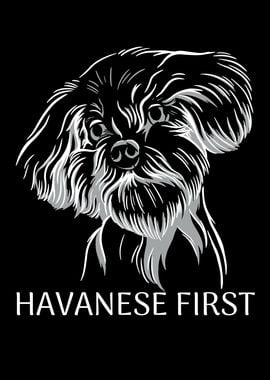 HAVANESE FIRST QUOTE LOVE