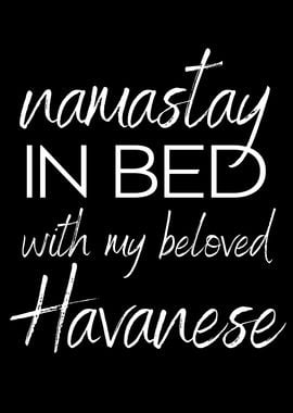 HAVANESE namastay in bed