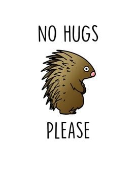 No Hugs Please Hedgehog