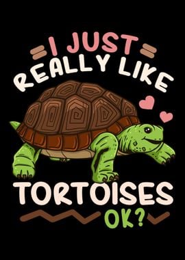 Tortoise Turtle Reptile To