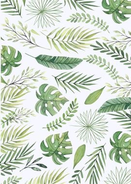 Monstera pattern