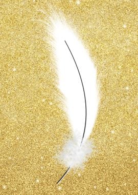 White Gold Bird Feather