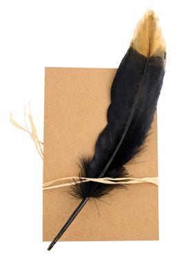 Bird Feather black gold