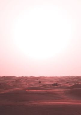 desert