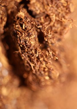 Rolling tobacco leaves